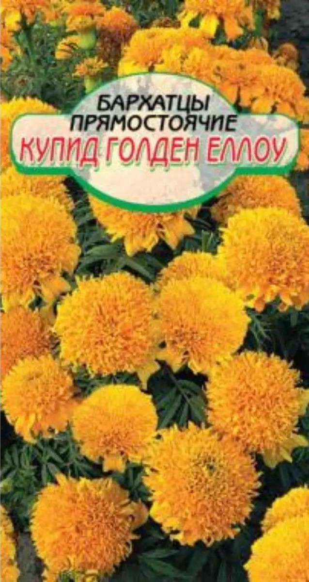 Семена ССС Бархатцы Купид Голден Еллоу прямостоячие 0.2г