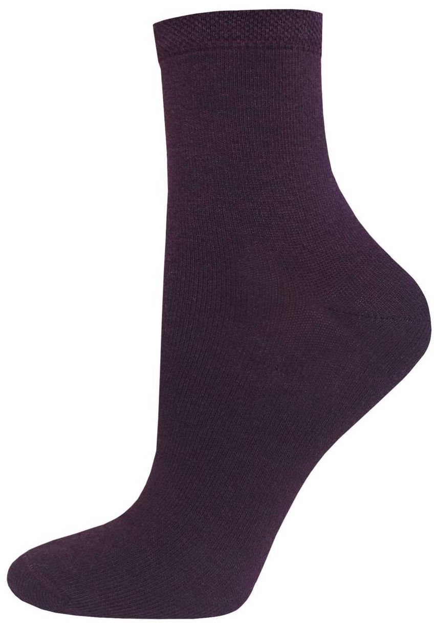 Носки женские БРЕСТСКИЕ Бэйсик р.25 арт.1232