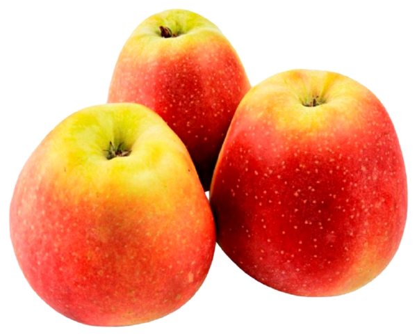 Яблоки Глостер 1кг