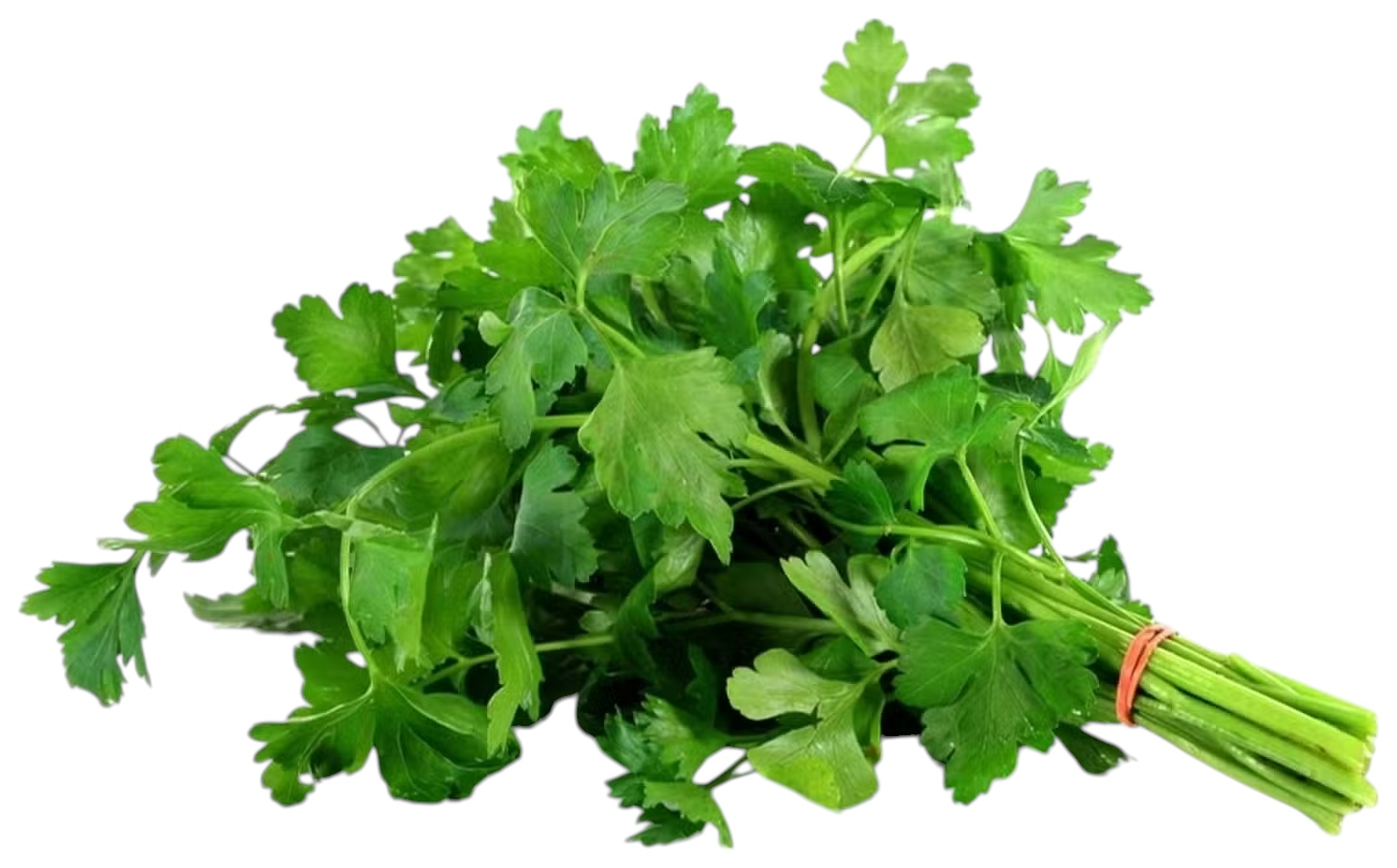 Петрушка ЗЕЛЕНАЯ ПОЛЯНКА 60г