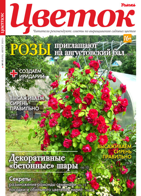 Журнал ТОЛОКА Цветок