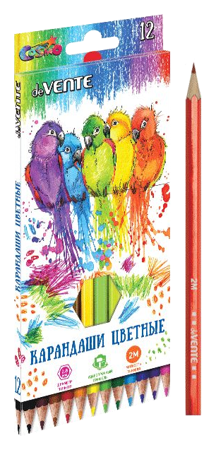 Карандаши цветные ДЕ ВЕНТЕ Космо 12шт