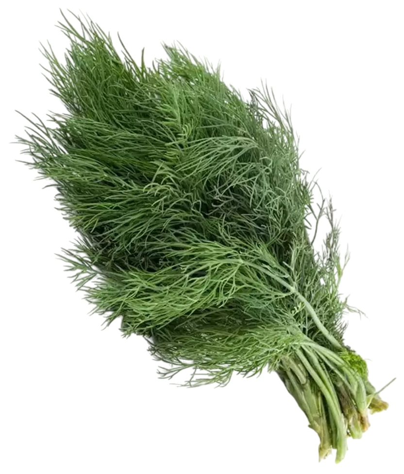 Укроп ЗЕЛЕНАЯ ПОЛЯНКА 60г