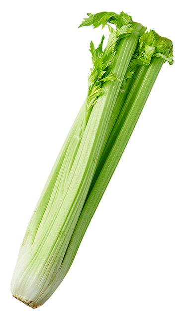 Сельдерей стебель 1кг