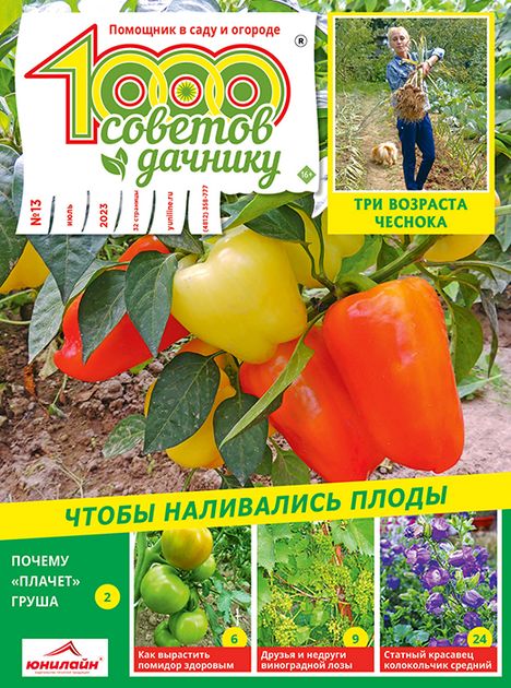 Журнал 1000 СОВЕТОВ Дачнику