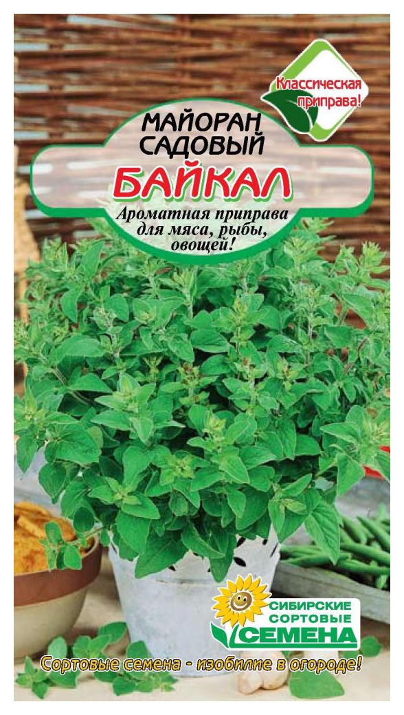 Семена ССС Майоран Байкал садовый 1г