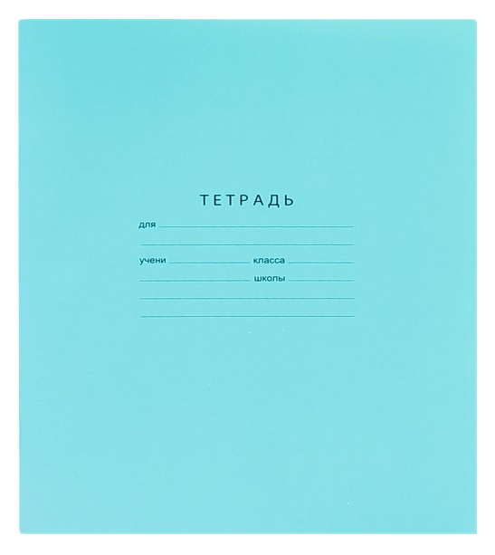 Тетрадь БИДЖИ Пиши красиво косая линейка 12л