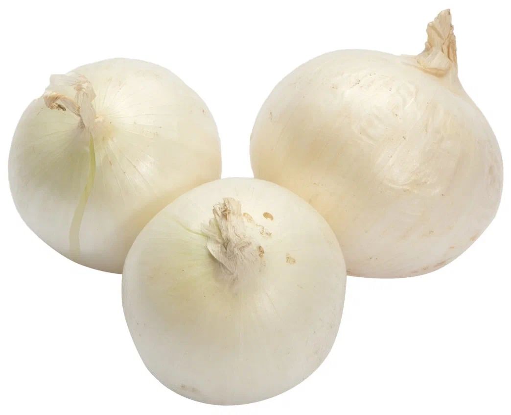Лук репчатый белый 3шт