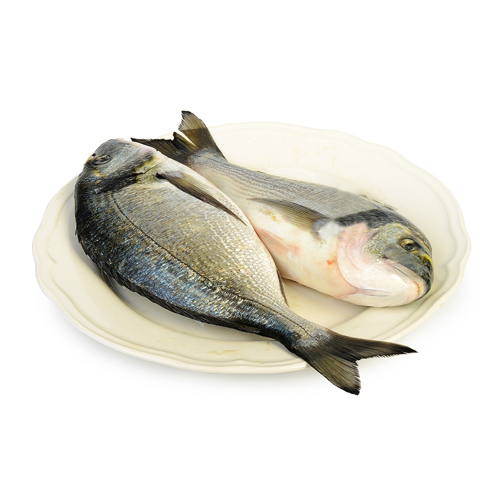 Дорадо (морской карась)