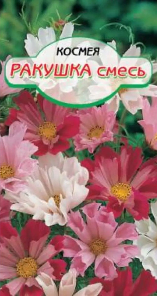 Семена ССС Космея Ракушка смесь 0.5г