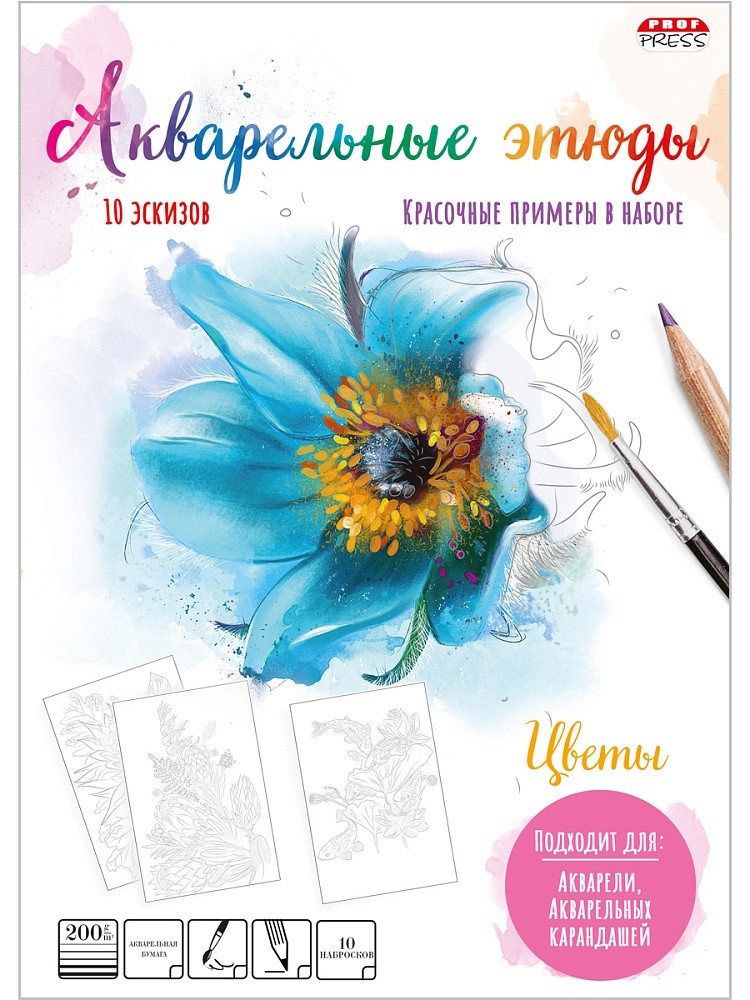 Папка для акварели ПРОФ-ПРЕСС А4 10л арт.Р-2047-50