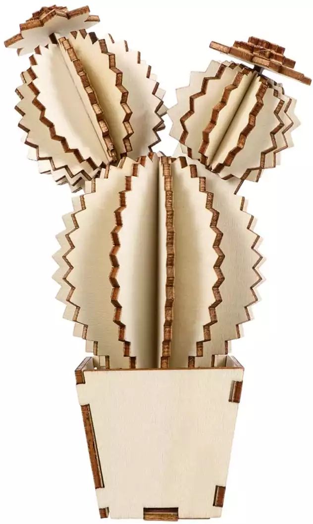 Пазл АПИЛКА Юный гений Кактус-2 3D арт.ЮГ20