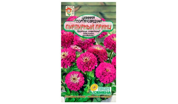 Семена ССС Цинния Пурпурный принц 0.3г