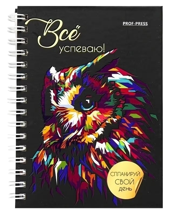 Ежедневник ПРОФ-ПРЕСС Сова А6 48л арт.48-1557