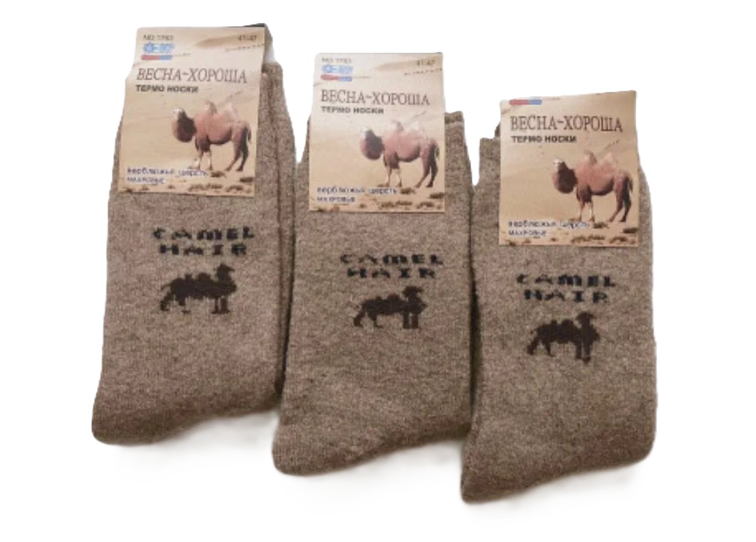 Носки женские ВЕСНА-ХОРОША из верблюжьей шерсти р.25 арт.4445