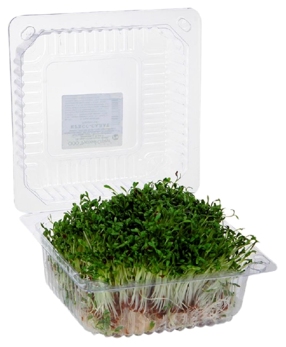 Проростки СИБРОСТОК Кресс-Салата 75г