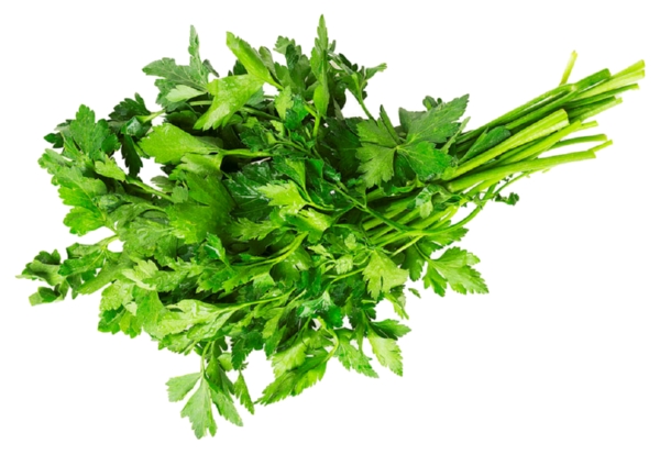 Петрушка 100г