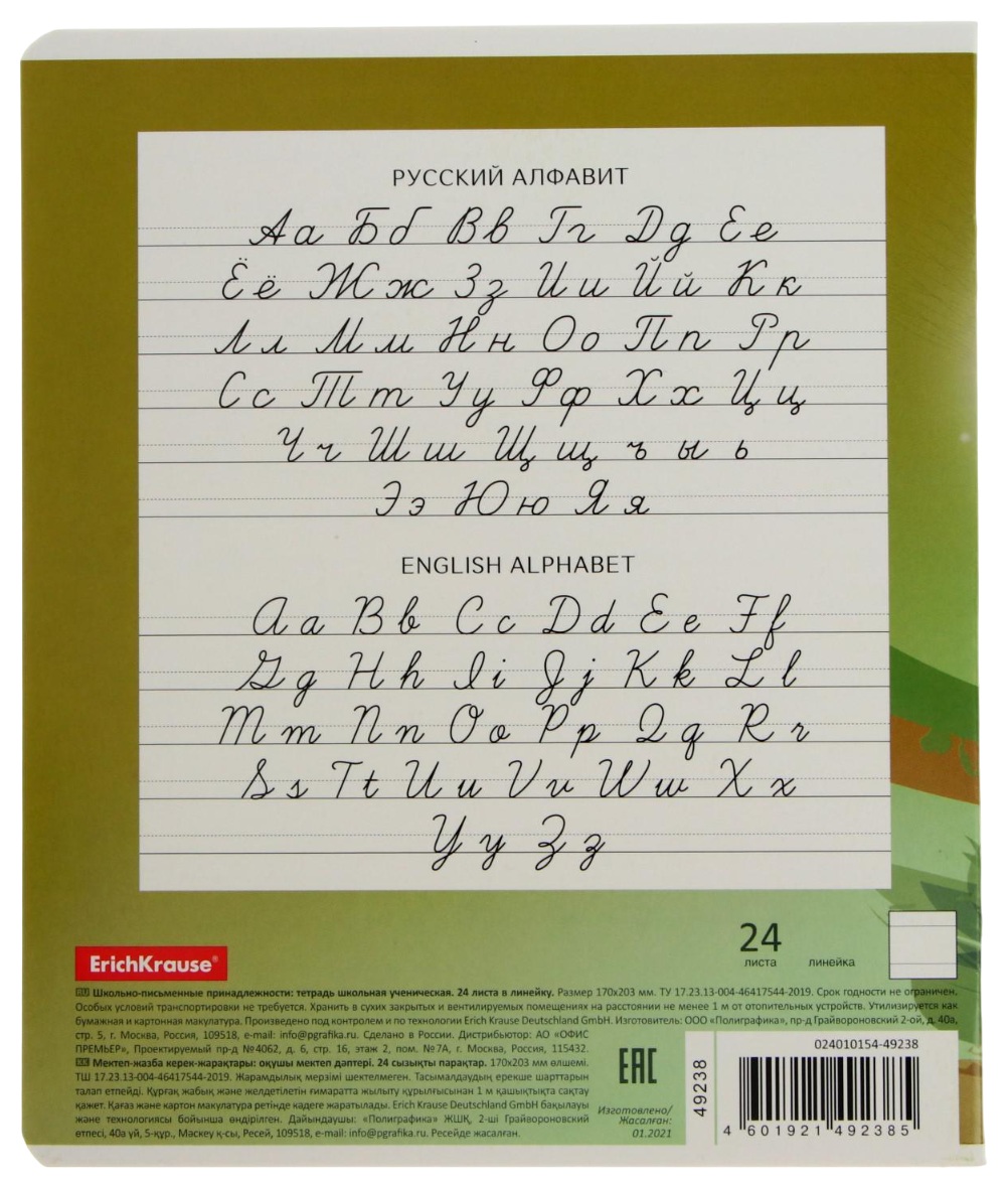 Тетрадь ЭРИХ КРАУЗЕ Мяч в игре линейка 24л арт.49238