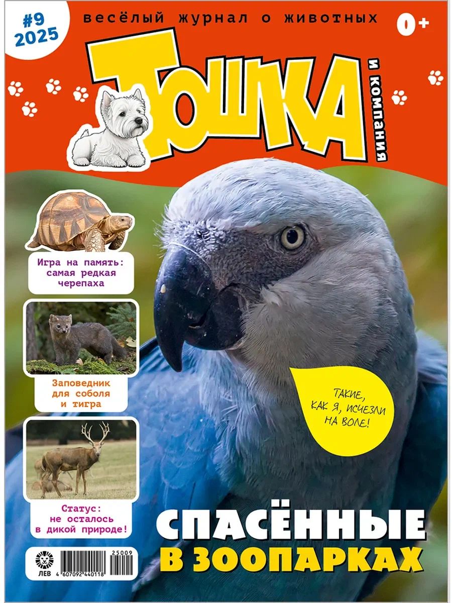 Журнал ТОШКА