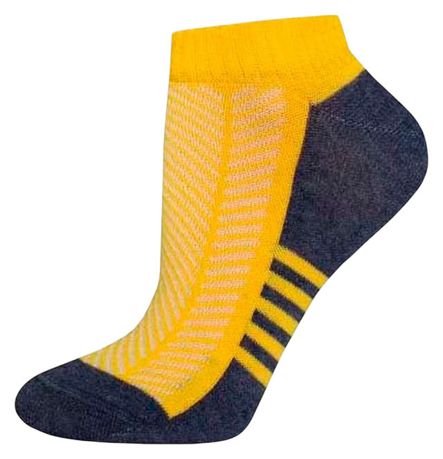 Носки женские БРЕСТСКИЕ Актив р.25 арт.1303