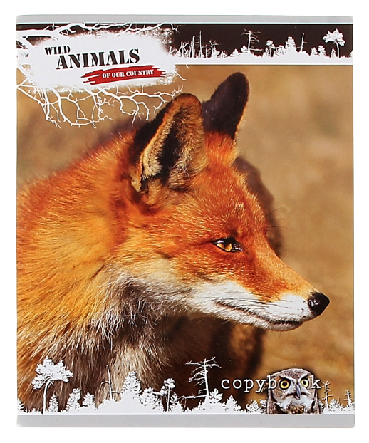 Тетрадь Звери нашего леса А5 клетка 48л