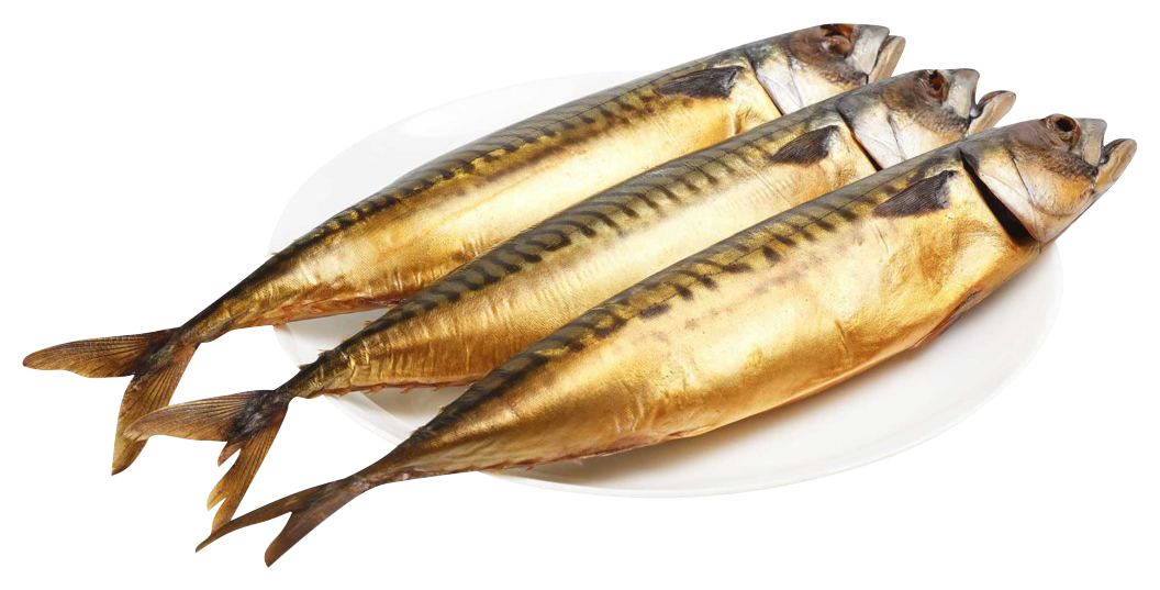 Скумбрия РЫБНЫЙ ХИТ х/к 1кг