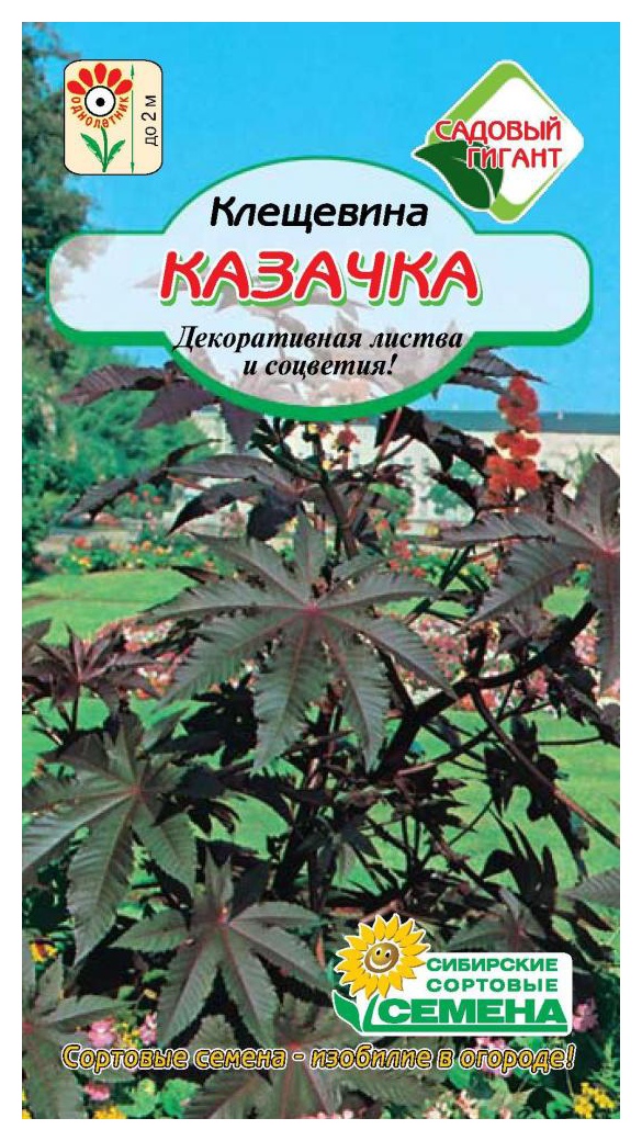 Семена ССС Клещевина Казачка 3шт