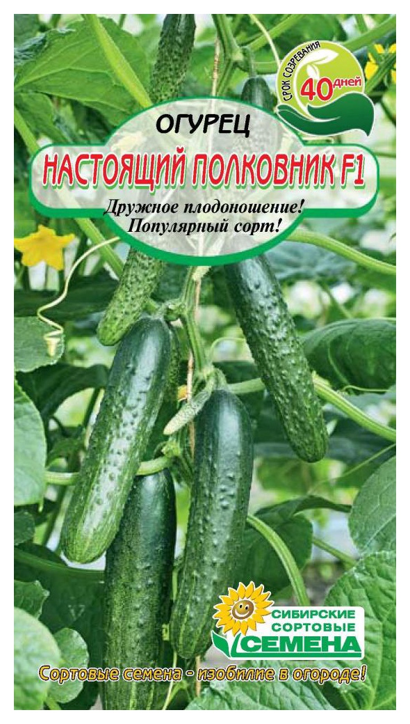 Семена ССС Огурец Настоящий полковник F1 7шт