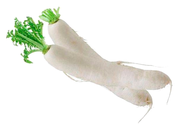 Редька Дайкон 1кг