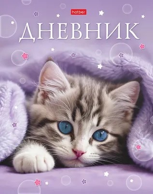 Дневник БИДЖИ Замурчательное настроение 1-11 класс арт.40ДТ5лВ_33823