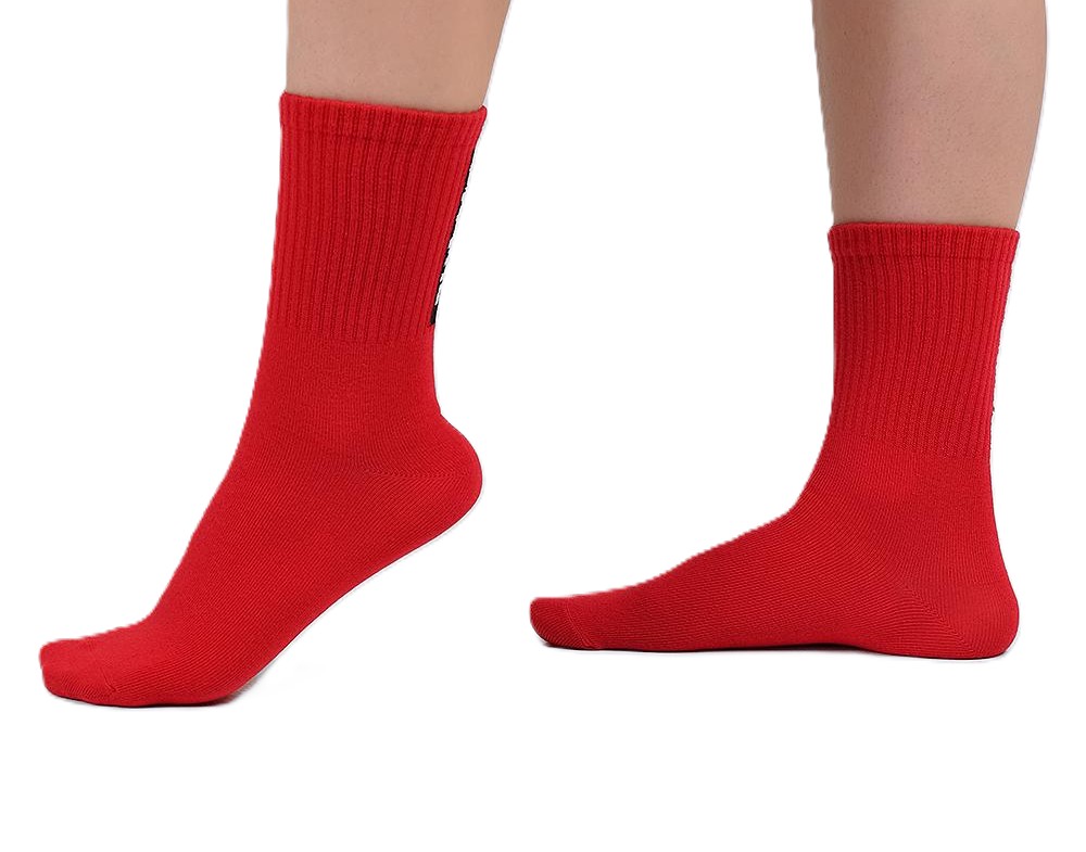 Носки женские КЛЕВЕР р.25 арт.L3002