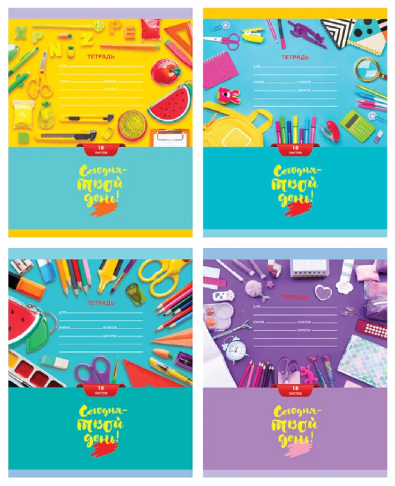 Тетрадь БИДЖИ Моя учеба клетка 18л