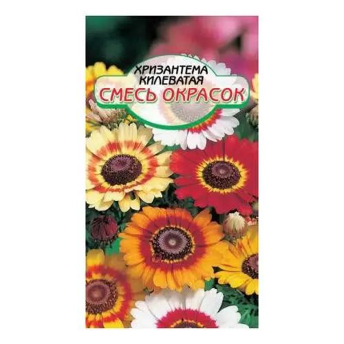 Семена ССС Хризантема Смесь окрасок 3г