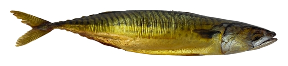 Скумбрия АВАНГАРД х/к 1кг