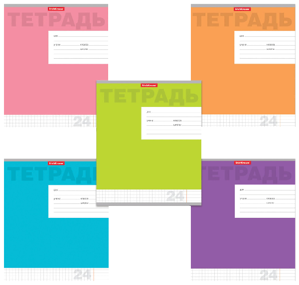 Тетрадь ЭРИХ КРАУЗЕ Новая классика клетка 24л