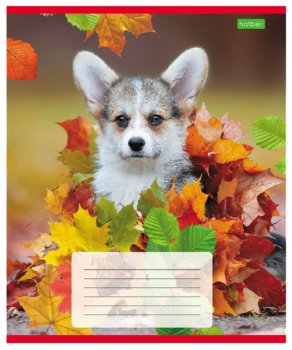 Тетрадь ХАТБЕР Верный друг линейка 12л