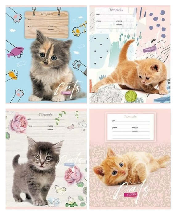 Тетрадь БИДЖИ История кота косая линейка 12л