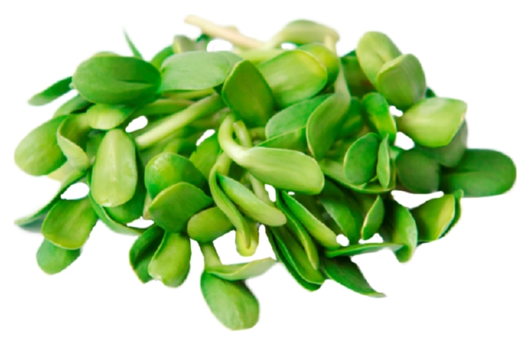 Проростки СИБРОСТОК подсолнечника 60г