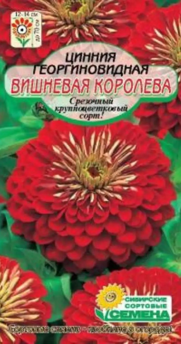 Семена ССС Цинния Вишневая королева 3г