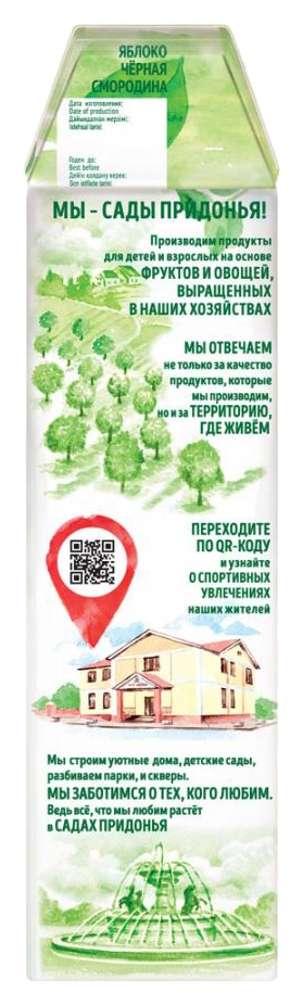 Нектар САДЫ ПРИДОНЬЯ яблоко черная смородина 1л