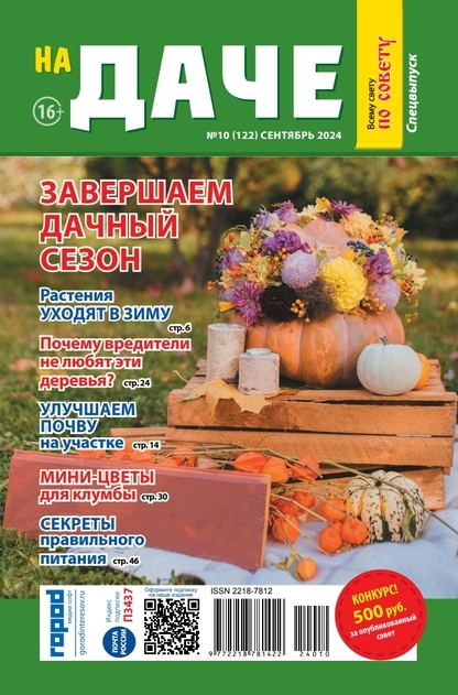 Журнал ВСЕМУ СВЕТУ ПО СОВЕТУ Спецвыпуск