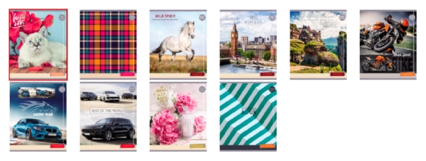 Тетрадь ПРОФ-ПРЕСС Микс клетка 48л