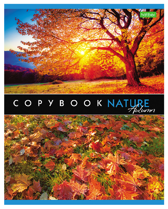 Тетрадь ХАТБЕР Ассорти Эко А5 клетка 48л