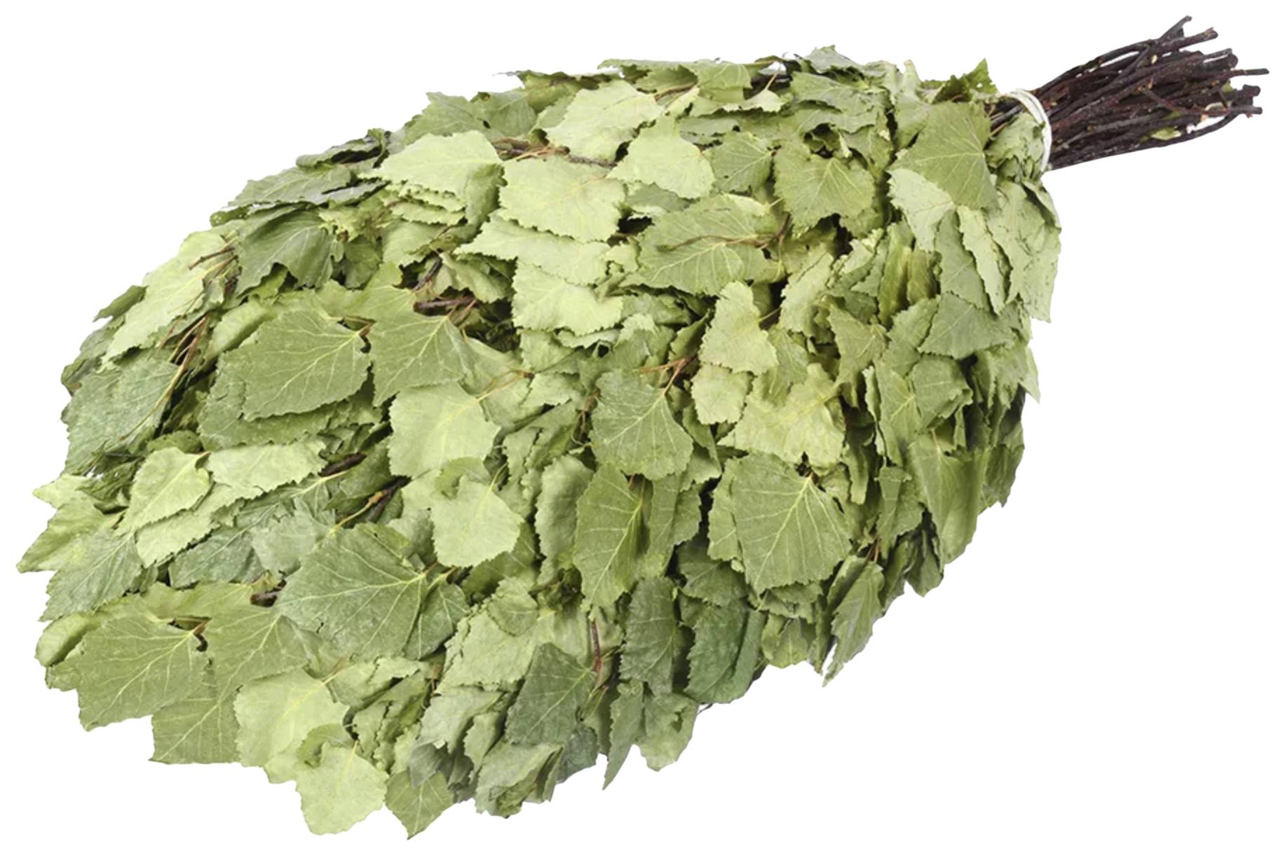 Веник РУССКИЙ ЛЕС Банный березовый