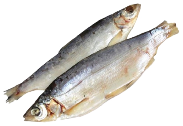 Пелядь АВАНГАРД вяленая 1кг