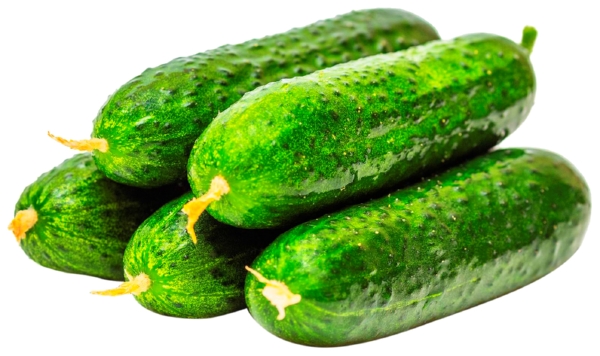 Огурец короткоплодный 450г
