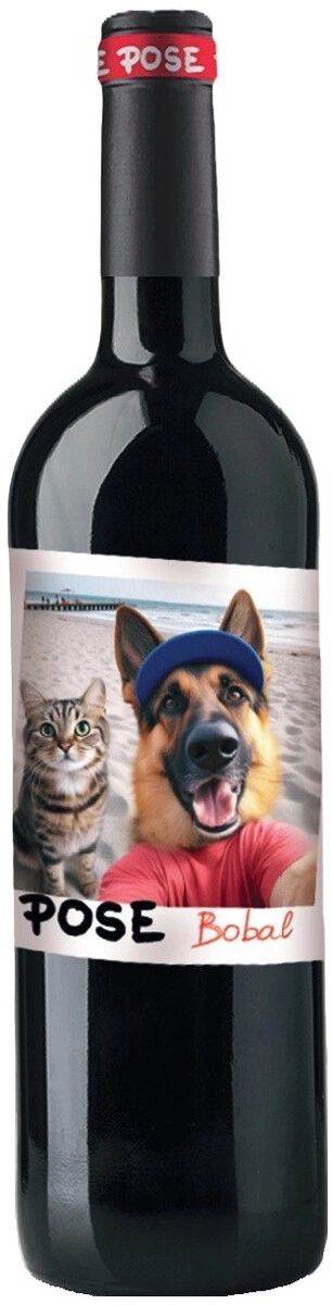 Вино ПОСЕ Бобаль красное сух 13.5% ст/б 0.75л
