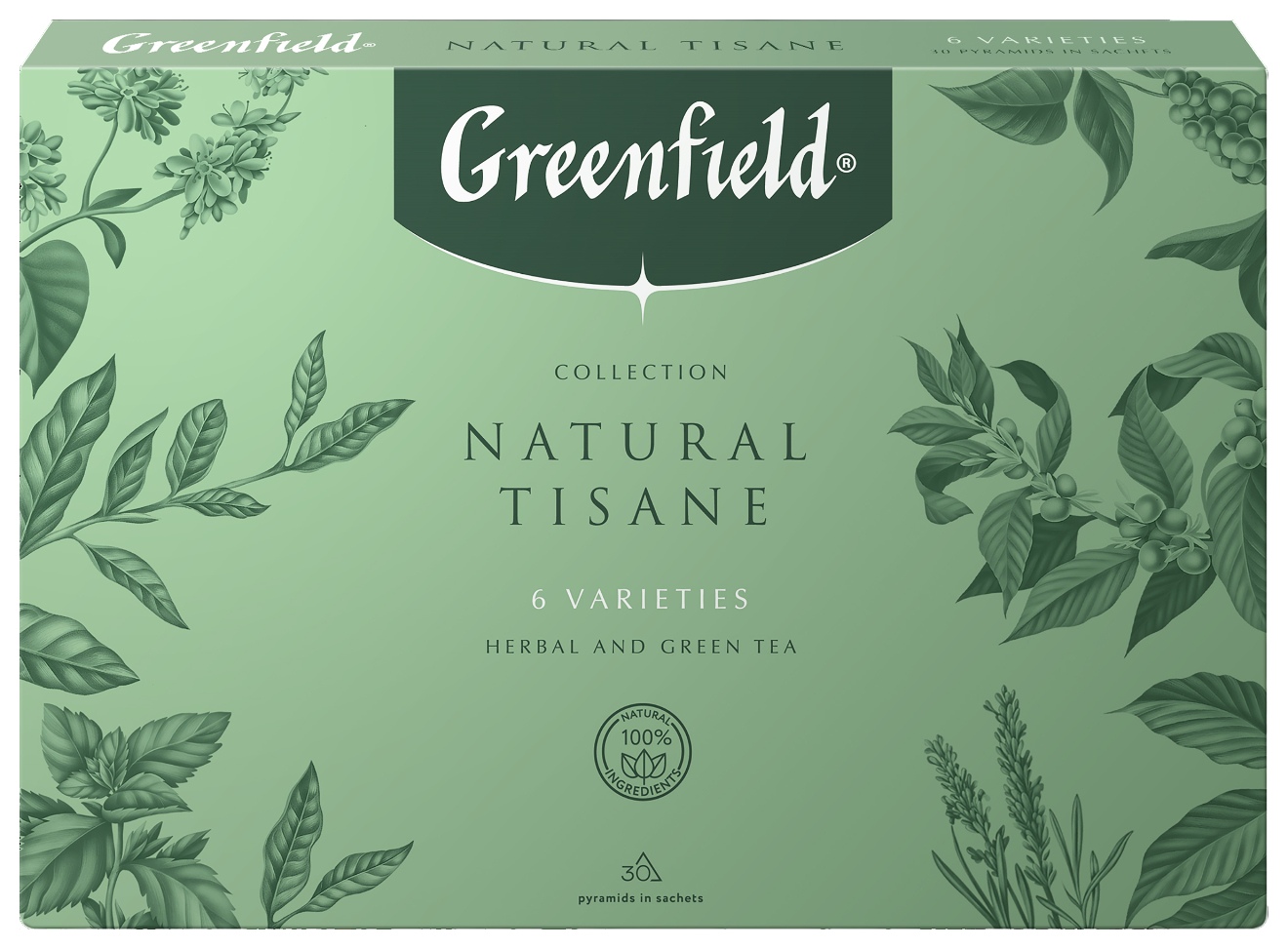 Чай ГРИНФИЛД Нейчерал Тизан ассорти 30пак