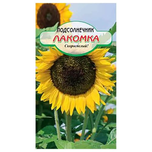 Семена ССС Подсолнечник Лакомка 5г