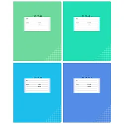 Тетрадь БИДЖИ Школьная клетка 24л